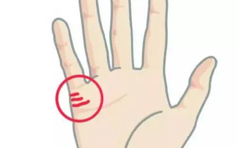 婚姻线图解大全：婚姻线怎么看？教你一分钟看懂自己的婚姻！