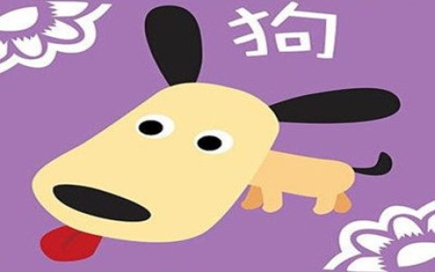 属狗人低谷时如何改变现状