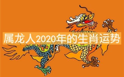 属龙人吉祥数字是多少 属龙人2020年的生肖运势