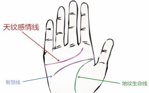 三分钟教你解密感情线！