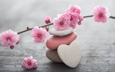 客厅摆放鱼缸有什么风水讲究