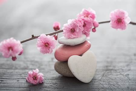 客厅摆放鱼缸有什么风水讲究