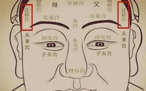1953属什么生肖(1953年出生的人属相)