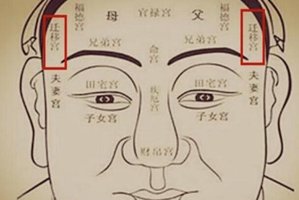 1953属什么生肖(1953年出生的人属相)