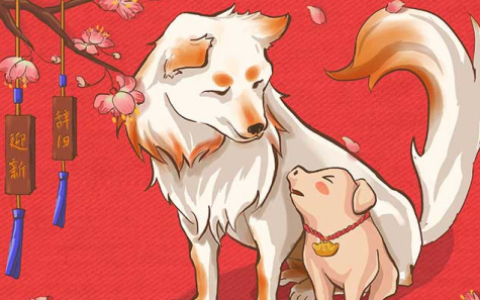 属狗的幸运色是什么颜色