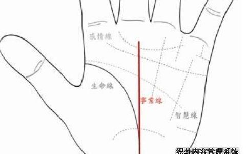 四十岁后步入事业坦途的男子手相