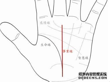 四十岁后步入事业坦途的男子手相
