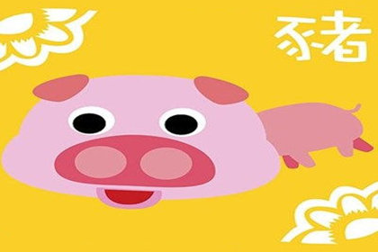 属猪人的核心竞争力有那些