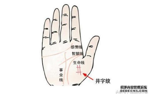 好命又聚财的井字纹, 你有吗?