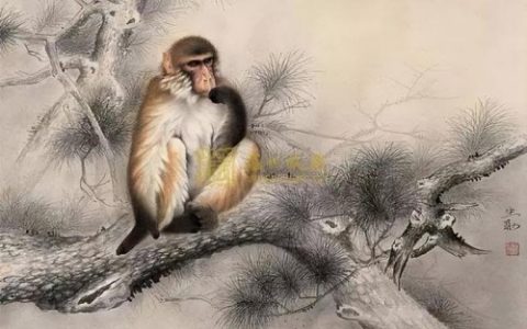 属猴男爱你入骨的表现