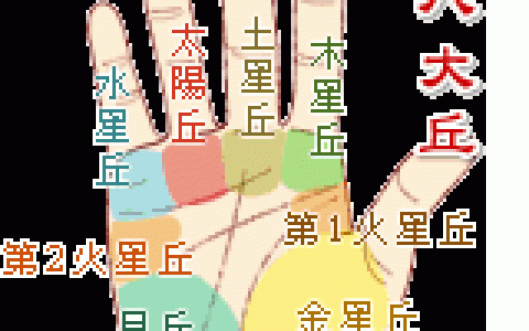 手掌纹手相图解，手掌纹线图解大全！