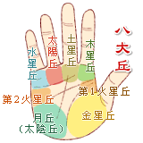 手掌纹手相图解，手掌纹线图解大全！
