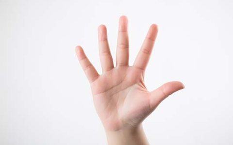 什么手相的女人最好命图片
