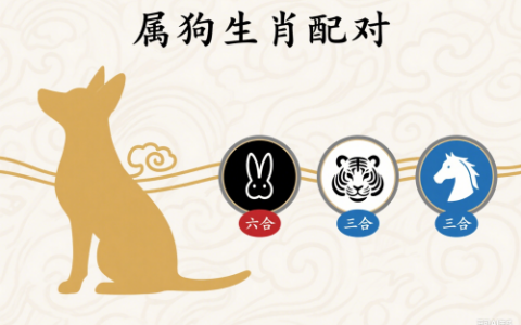 属狗的三合和六个合生肖是什么