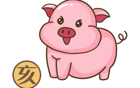 属猪人2024年全年运势及运程，属猪人2024年每月运势及运程！
