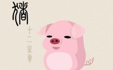 2024属猪人躲不过去的大难