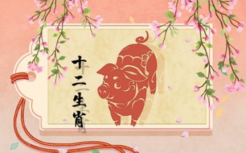 生肖鸡和生肖猪可以配吗 是一对存在较大差异的组合