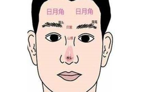 12生肖对应年份叫法(十二属相最好的属相)