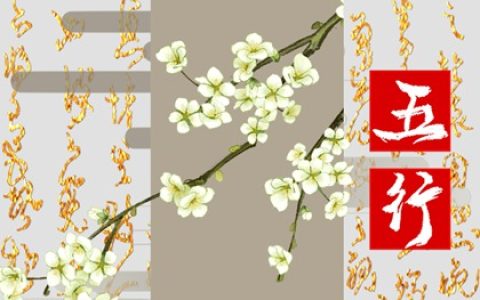 2007年五行属什么命，2007年属猪是什么命？