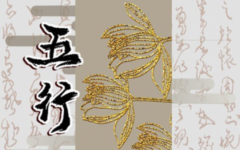 95年猪五行属啥 1995年几月属猪命苦