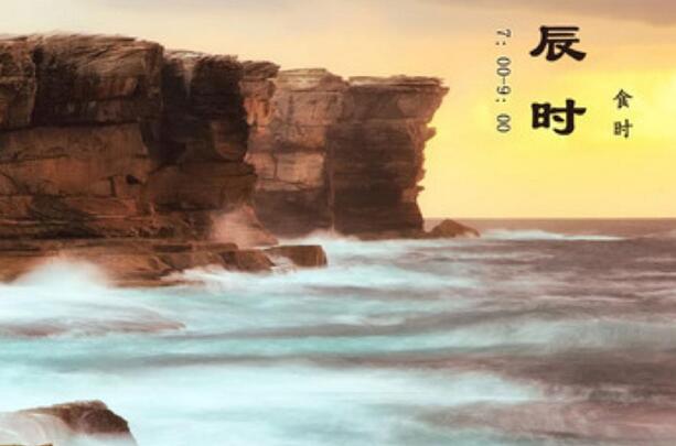 十二生肖铜钱(十二生肖铜钱能值多少钱)