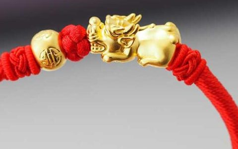 属鸡的什么时候本命年(2005属鸡的本命年是哪一年)