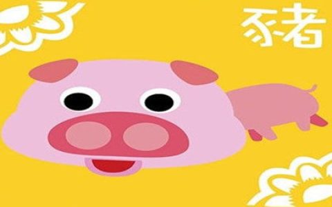 属猪人焦虑的原因及缓解方法
