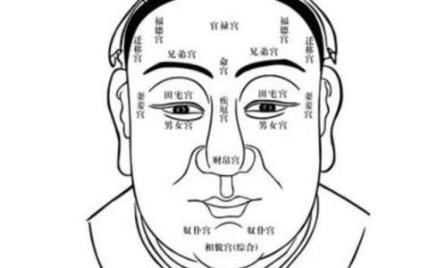 十二生肖北方的生肖-属于北方的三个生肖