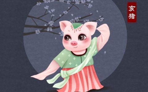 亥猪的寓意和象征