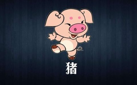 属猪人今年下半年有大灾难
