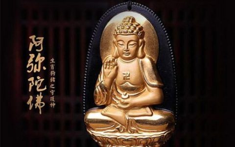 属猪的本命佛是什么佛