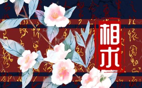 女人富贵命痣在哪 顶级富贵痣女人