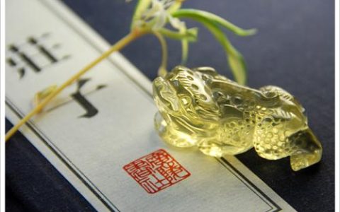 属龙1988在2024虎年的运势(2024年属龙运势及运程1988年生人)