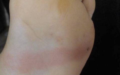 十二生肖由来传说故事(十二生肖由来传说故事简短)