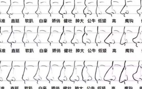 冲生肖是什么意思(冲生肖但是是吉日)