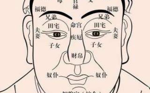 面相怎么看？面相学十二宫的具体部位和寓意（二）