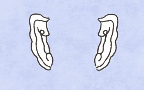 男孩有军之痣代表什么 责任心强对待问题细心