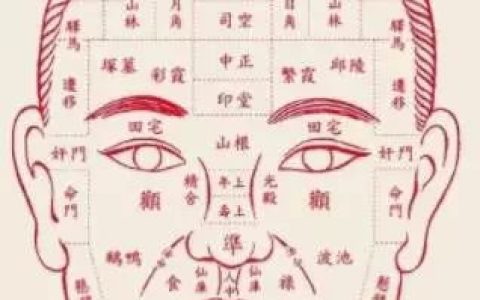 面相学精准分析：如何从面相看懂一个人的性格？