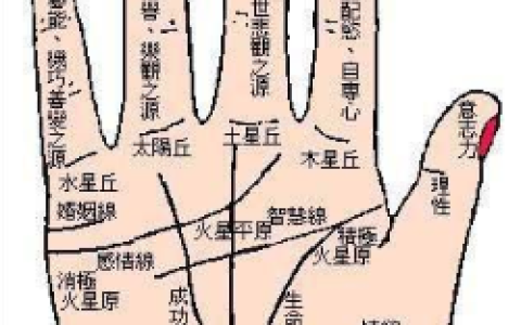 生命线图解：生命线长短的不同预兆。