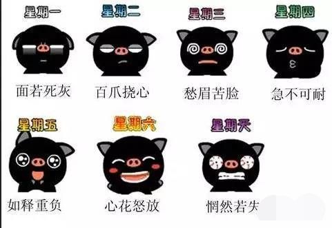 哪些食物有利于上班族的健康风水