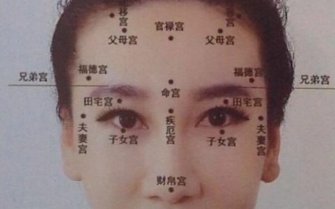 十二生肖五行对照表完整版(十二生肖与五行对照表)