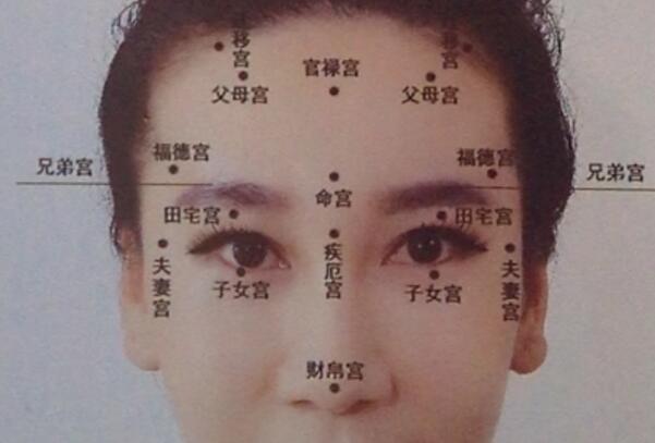 十二生肖五行对照表完整版(十二生肖与五行对照表)