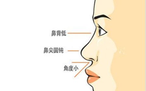 鼻梁塌面相分析：全面解析塌鼻梁人的性格与命运！