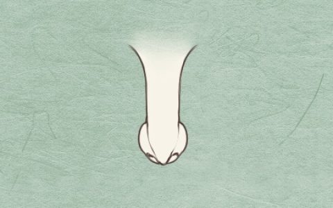 女人脸上哪些痣必须去掉 脸上哪个部位的痣不好