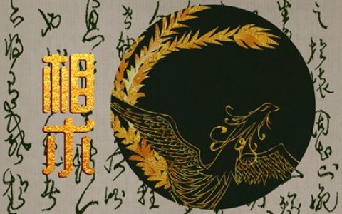 男人富贵痣巨富 正上方头顶痣为巨富
