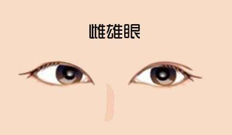 面相分析：雌雄眼女人的命运如何？