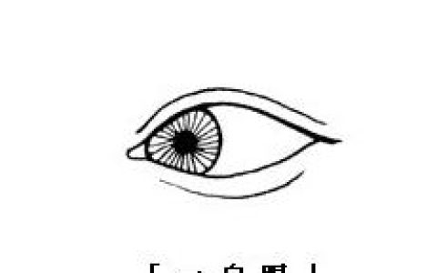 一白眼二白眼三白眼四白眼面相的人命运