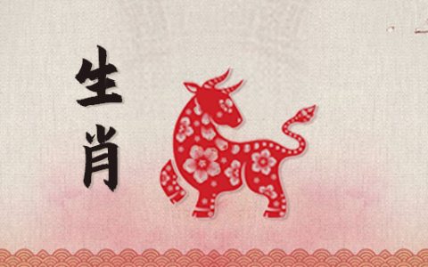 2024属龙人的全年运势 2024属龙人的全年运势如何