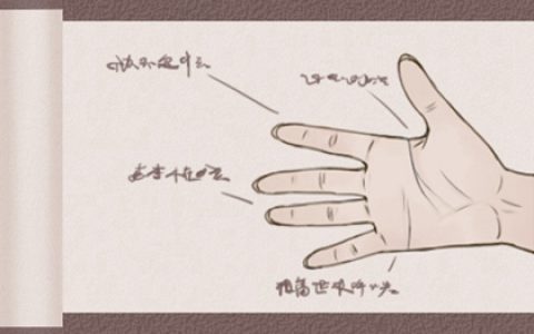 一生不缺钱花的手相:掌丘隆起而不坍塌