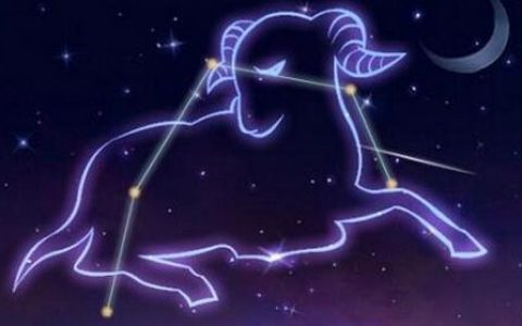 12星座性格特点分析 准的吓人
